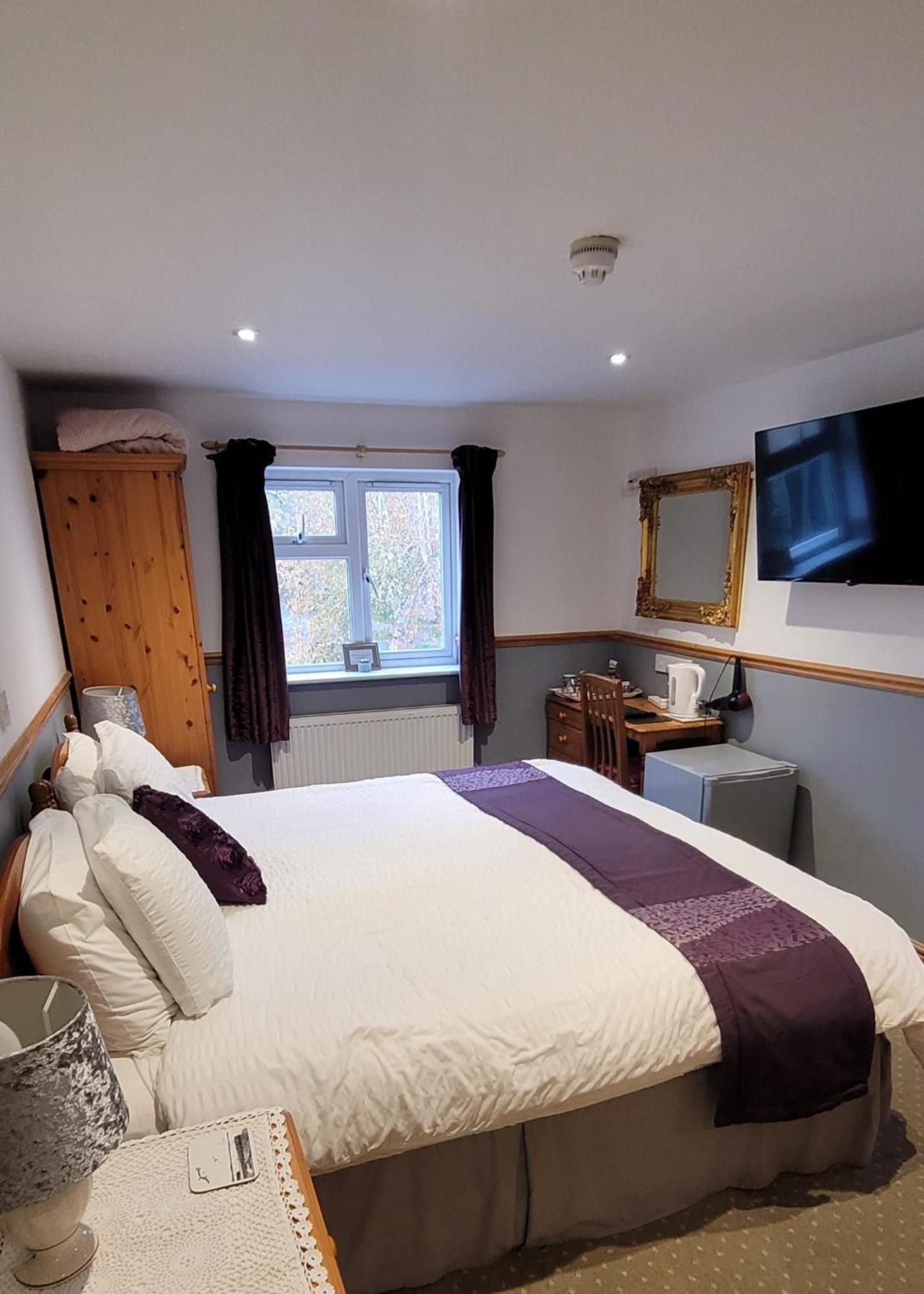 Bed and Breakfast Alington House Cambridge Zewnętrze zdjęcie